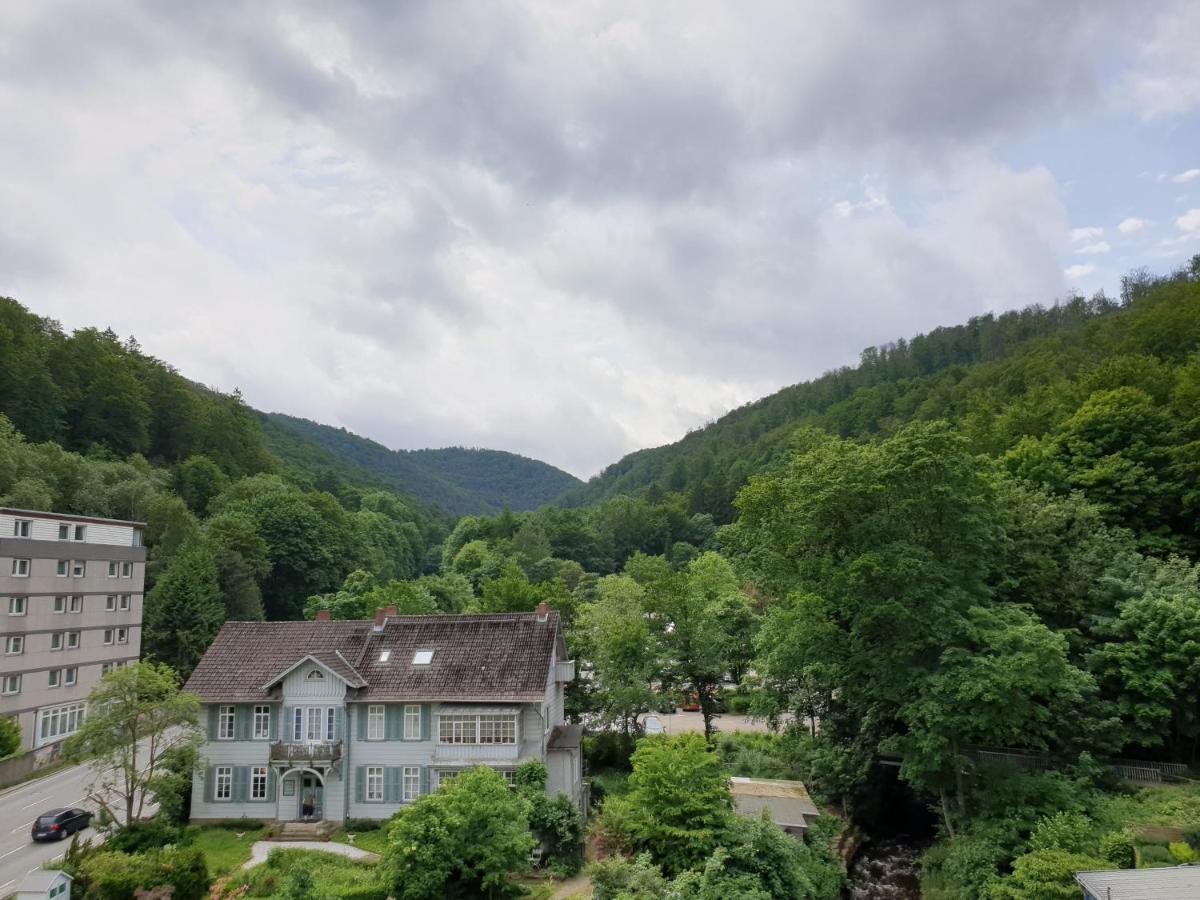Apartz - Bad Harzburg - Apartment Mit Sauna In Idealer Lage Mit Bergblick Exterior foto